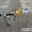 sullair-185dpqcat-image-7
