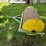 #8727-•-3pt-counter-weight-image-3