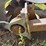 #3510-•-1988-approx-100'-conveyer-image-38