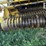 2008-new-holland-br7090-image-41