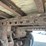 great-dane-48-image-15