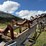 #3510-•-1988-approx-100'-conveyer-image-11