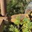 #3510-•-1988-approx-100'-conveyer-image-27