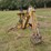 #25268-•-international-3082-series-a-back-hoe-attachment-image-10