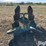 john-deere-3-pt-rotating-plow-image-6