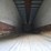 great-dane-48-image-26