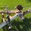 #2520-•-great-lakes-fishing-and-pleasure-boat-image-9