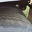 great-dane-48-image-33