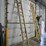 #9739-•-louisville-24'-extension-ladder-image-3