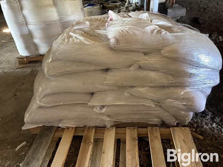 2025-hayes-barley-seed-image-8