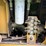 2004-caterpillar-d3g-xl-image-16