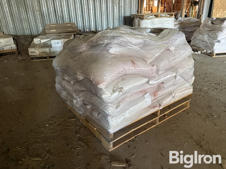 2025-hayes-barley-seed-image-7