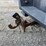 2015-ford-f250-image-16