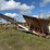 #3510-•-1988-approx-100'-conveyer-image-1