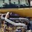 2011-caterpillar-th255-image-29