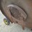 john-deere-1517-image-23
