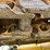 2018-caterpillar-d6t-lgp-image-38