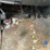 2003-ford-f150-image-30