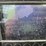 2020-takeuchi-tl8r2-image-25
