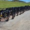 2-ring-october-construction-&-agricultural-equipment-auction-image-4