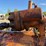 #3505-•-allis-chalmers-d-548-grader-image-37