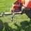 #8702-•-towable-log-splitter-image-23
