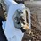2018-bobcat-s550-image-11