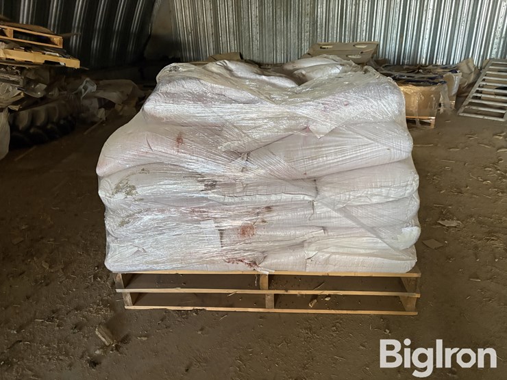 2025-hayes-barley-seed-image-6