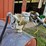 #8725-•-fuel-barrel-image-10