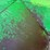 #1019-•-green-gravity-box-image-15