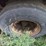 great-dane-48-image-32