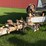 #2520-•-great-lakes-fishing-and-pleasure-boat-image-10