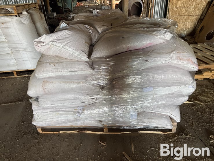 hayes-barley-seed-image-2