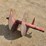#9616-•-bobcat-24"-auger-bit-image-4