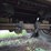#3428-•-wabash-53'-dry-van-trailer-image-20