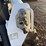 2018-bobcat-s550-image-11