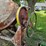 #8737-•-timken-bearing-equipment-towable-concrete-mixer-image-10