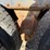 mack-dm685s-image-62