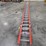 #9732-•-loisville-40'-extension-ladder-image-4