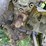 john-deere-955-image-17