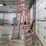 #9745-•-louisville-12'-step-ladder-image-3