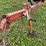 #1339-•-60'-feterl-grain-auger-image-12