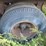 great-dane-48-image-28