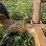 #3510-•-1988-approx-100'-conveyer-image-26