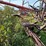 #1329-•-adam-leaning-steel-wheeled-grader-image-8