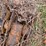 #25268-•-international-3082-series-a-back-hoe-attachment-image-29