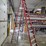 #9745-•-louisville-12'-step-ladder-image-4