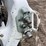 2022-bobcat-s76-image-12