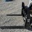 bobcat-42"-skid-steer-pallet-forks-image-5