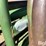 powder-river-portable-panels-w/gate-image-13